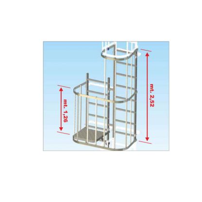 Piattaforma di ispezione per scale con gabbia