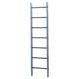 Scala di partenza da m 3.00, Scala di partenza movibile con ganci per scala con gabbia